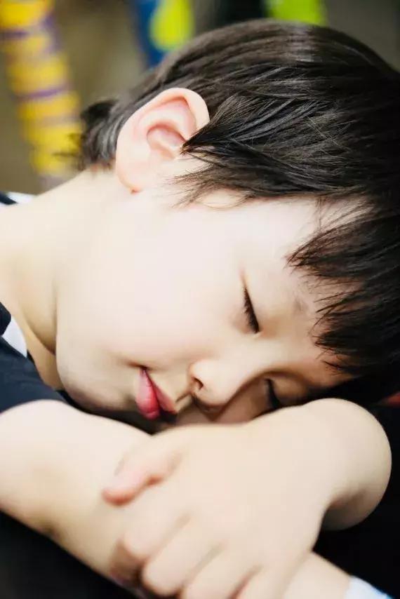 芝加哥周边自驾游,芝加哥郊外攻略