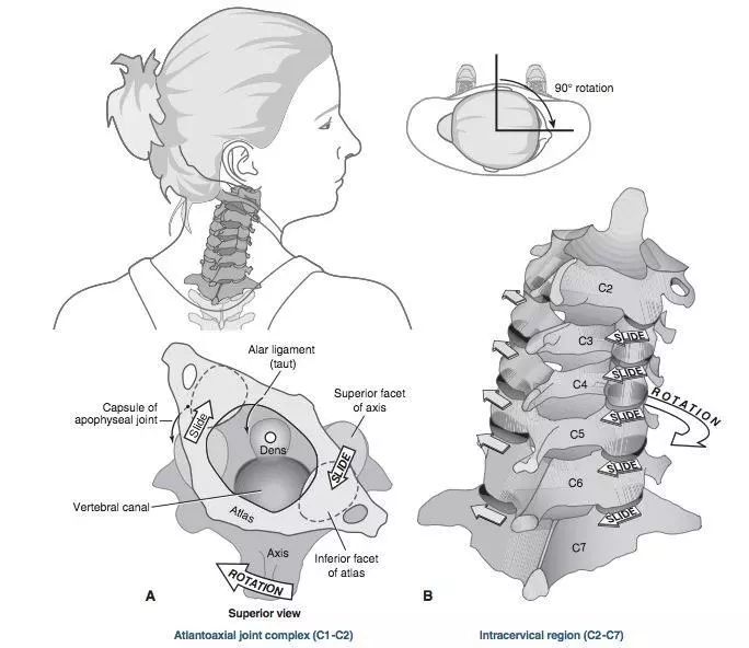 手指早起僵硬疼痛活动后就好了,颈部疼痛颈部僵硬颈部活动受限