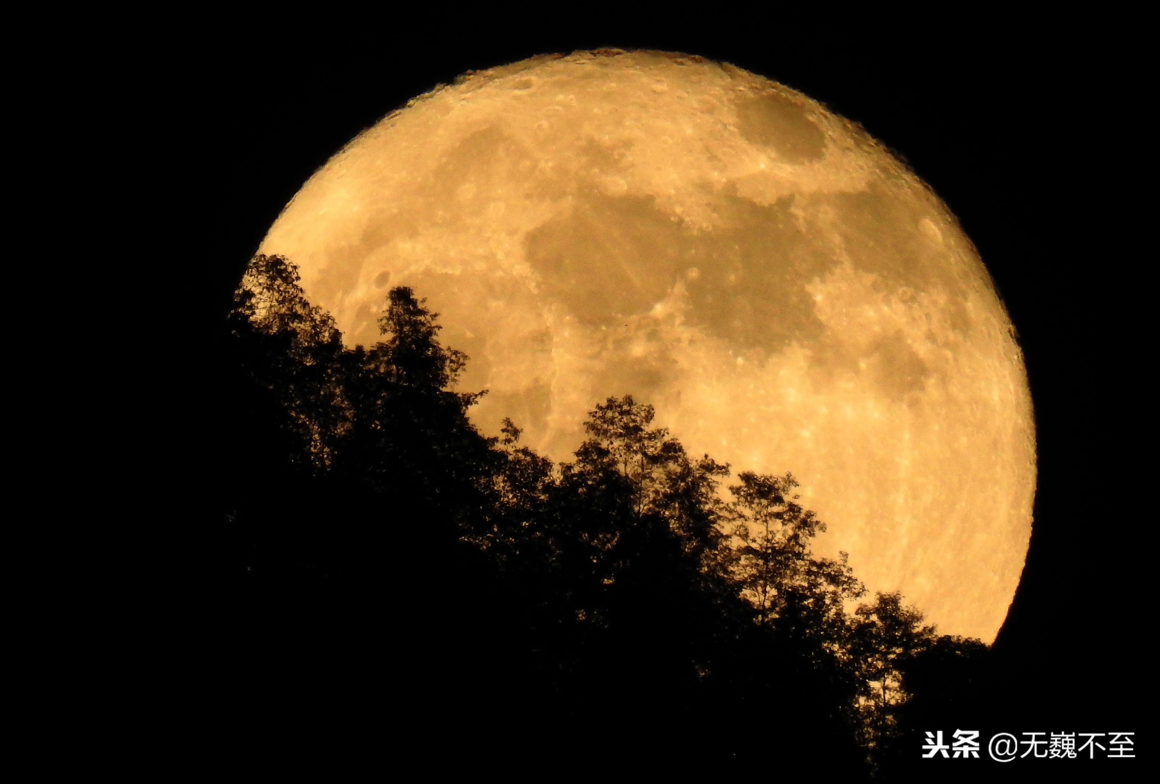 尼泊尔act徒步旅行,尼泊尔act徒步攻略大全