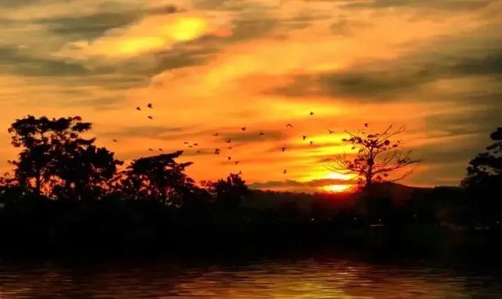 辛弃疾英雄型词作赏析,辛弃疾经典十首诗词全文