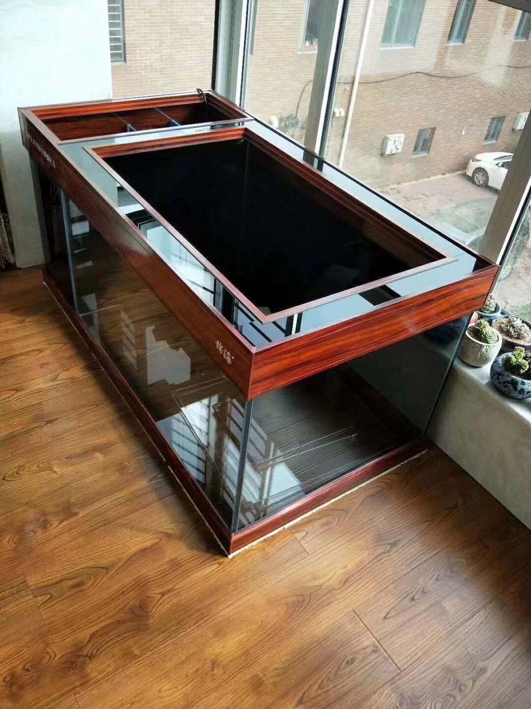 鱼缸养锦鲤鱼技术大全,缸养小锦鲤鱼的基本方法