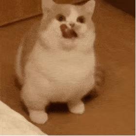 双十一零食推荐店铺,双十一火爆零食排行榜