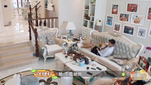 张继科豪宅别墅,张继科家的别墅有多大