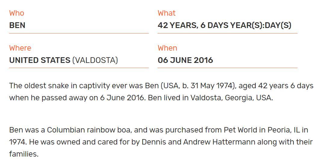 20年的巨蟒蛇,巨蟒蛇一共能活多少年