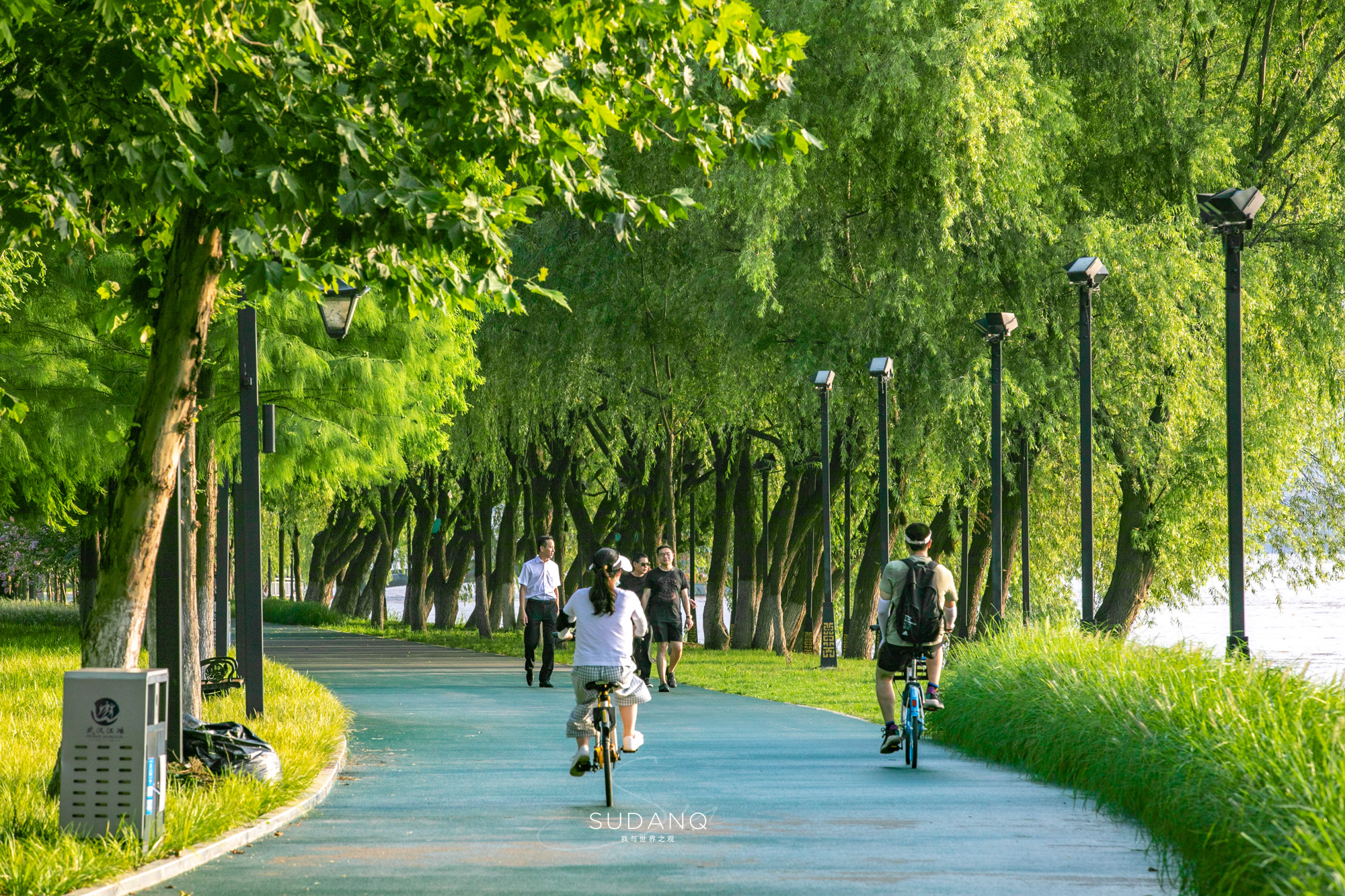 武汉脏乱差街道,武汉街道脏乱差图片