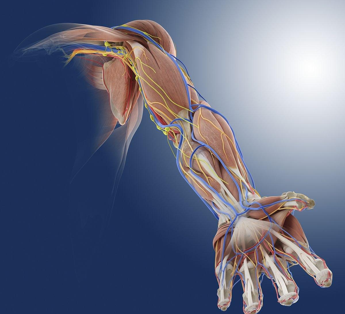 多发性硬化症发病多少年后恶化,多发性硬化症发病