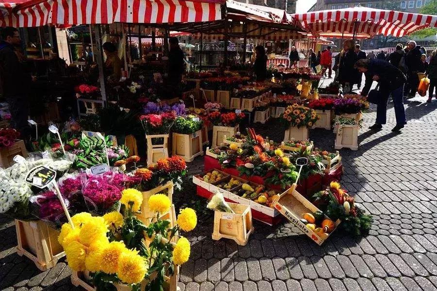 德国留学学德语多少钱,德国留学和加拿大留学比较