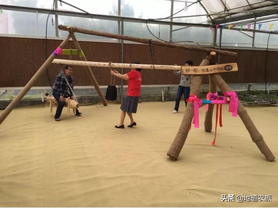 宁乡大成桥湘都生态农业园是什么,宁乡湘都生态农业园鹿岛