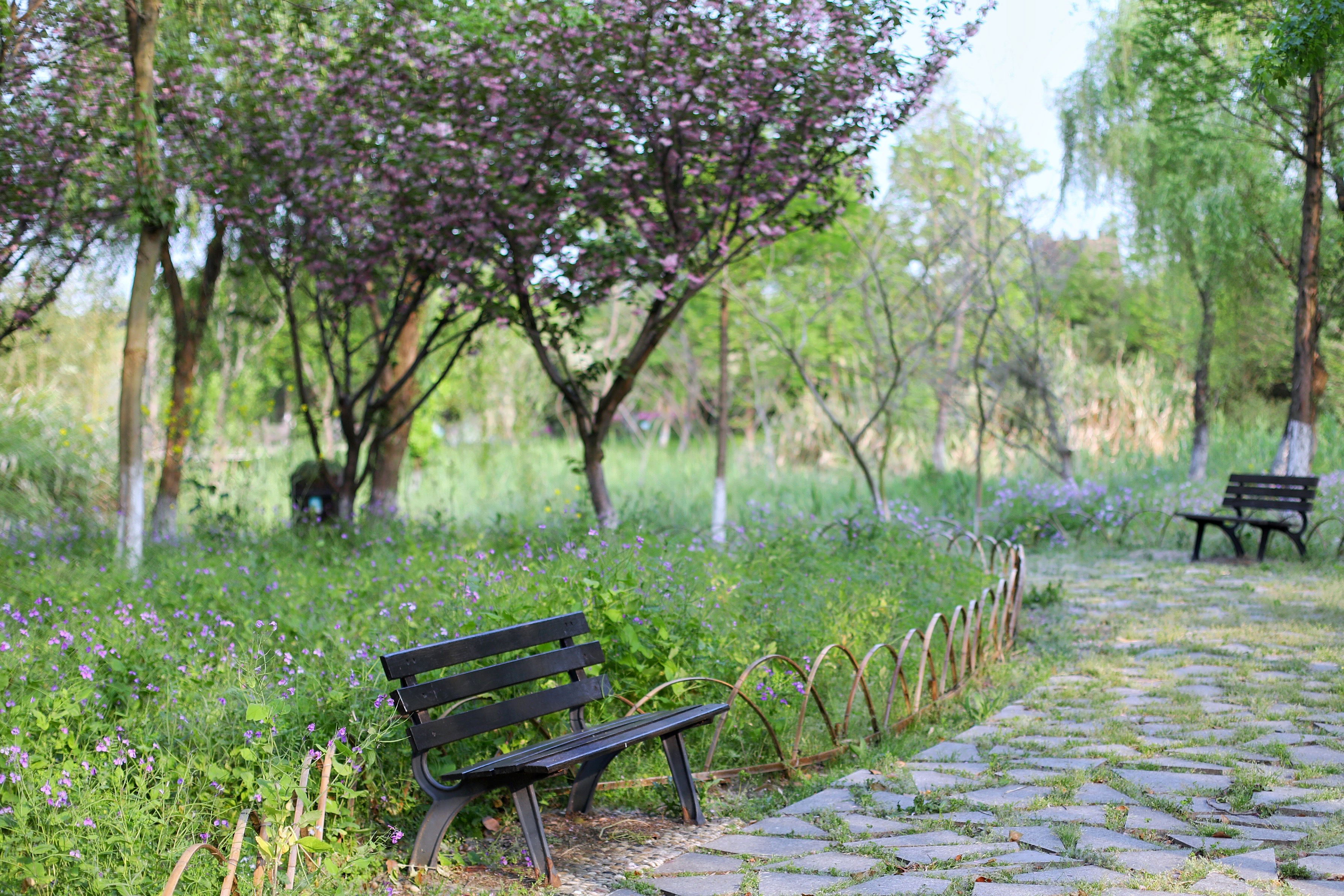 常熟沙家浜风景区游玩攻略简介,常熟沙家浜风景区游玩攻略