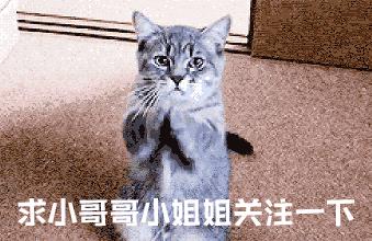 腾讯Q哥Q妹回忆：那年的青春，全是QQ的样子