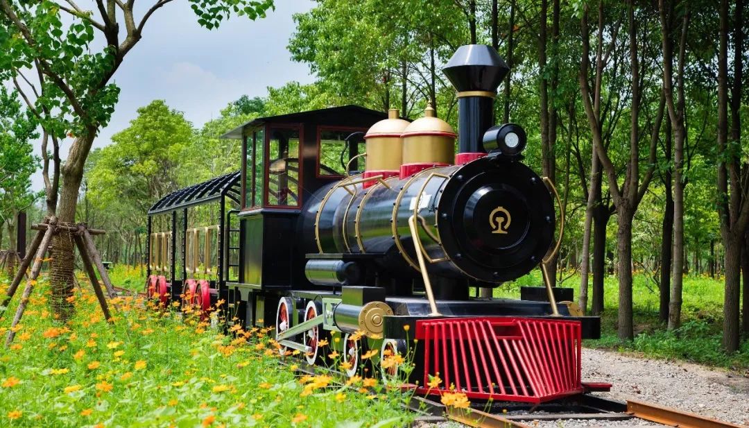 上海国庆小众旅行攻略路线图,上海出发国庆旅游攻略推荐