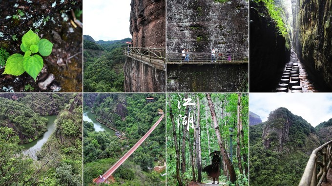 梅州采茶,梅州采茶体验