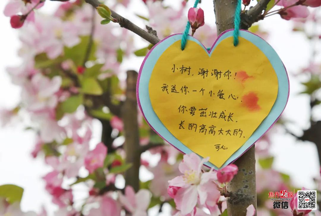 ​养眼！“棠贵妃”四姐妹笑起来真好看！