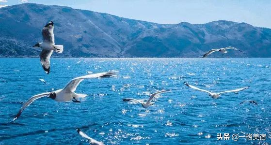 厦门旅游攻略最详细,厦门北到厦门攻略