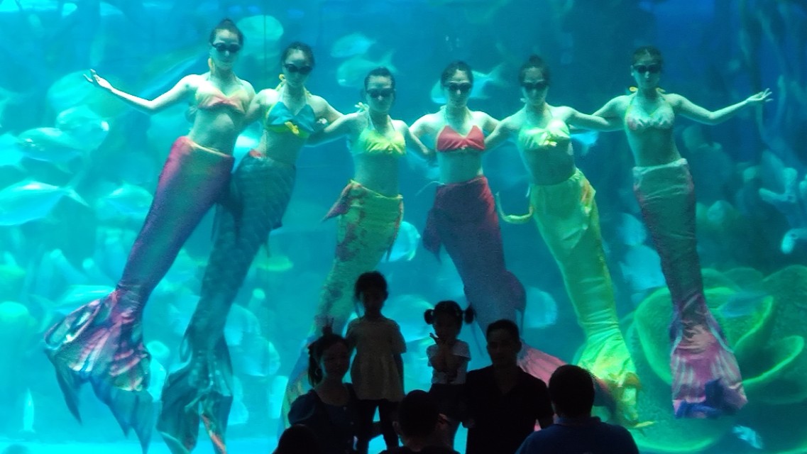 福州欧乐堡海洋世界家庭套票团购,福州欧乐堡海洋世界门票价格