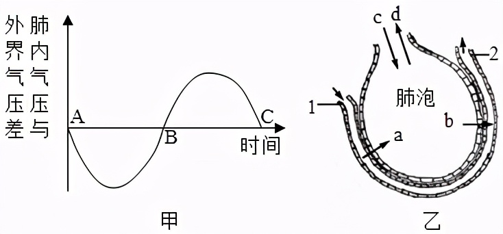 临沂市生物实验操作考试视频,临沂物理实验操作考试试题