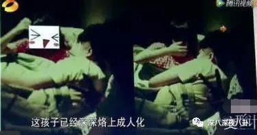 变形计网红韩安冉的成名之路,韩安冉变形计是真是假