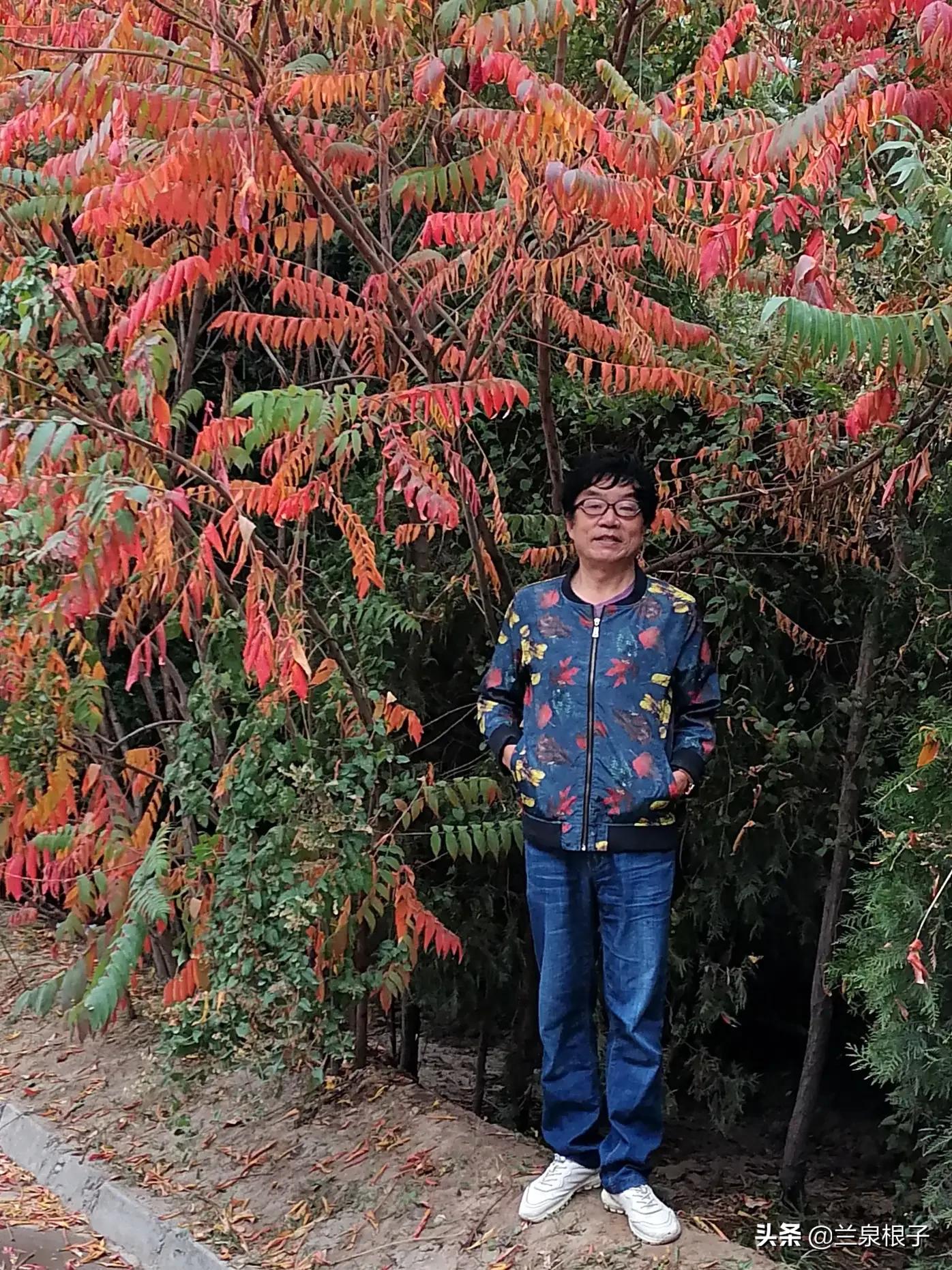 知青那些事儿全集,知青剧那些年那些事