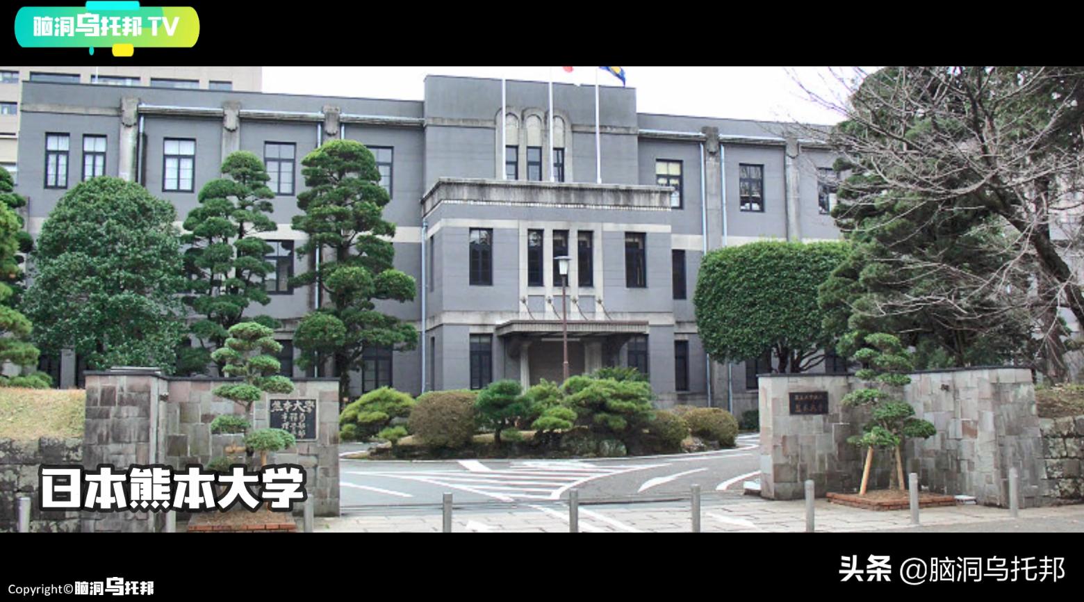 万只猫集体跳海，一场只有死亡才能终结的诅咒！日本诡异事件真相