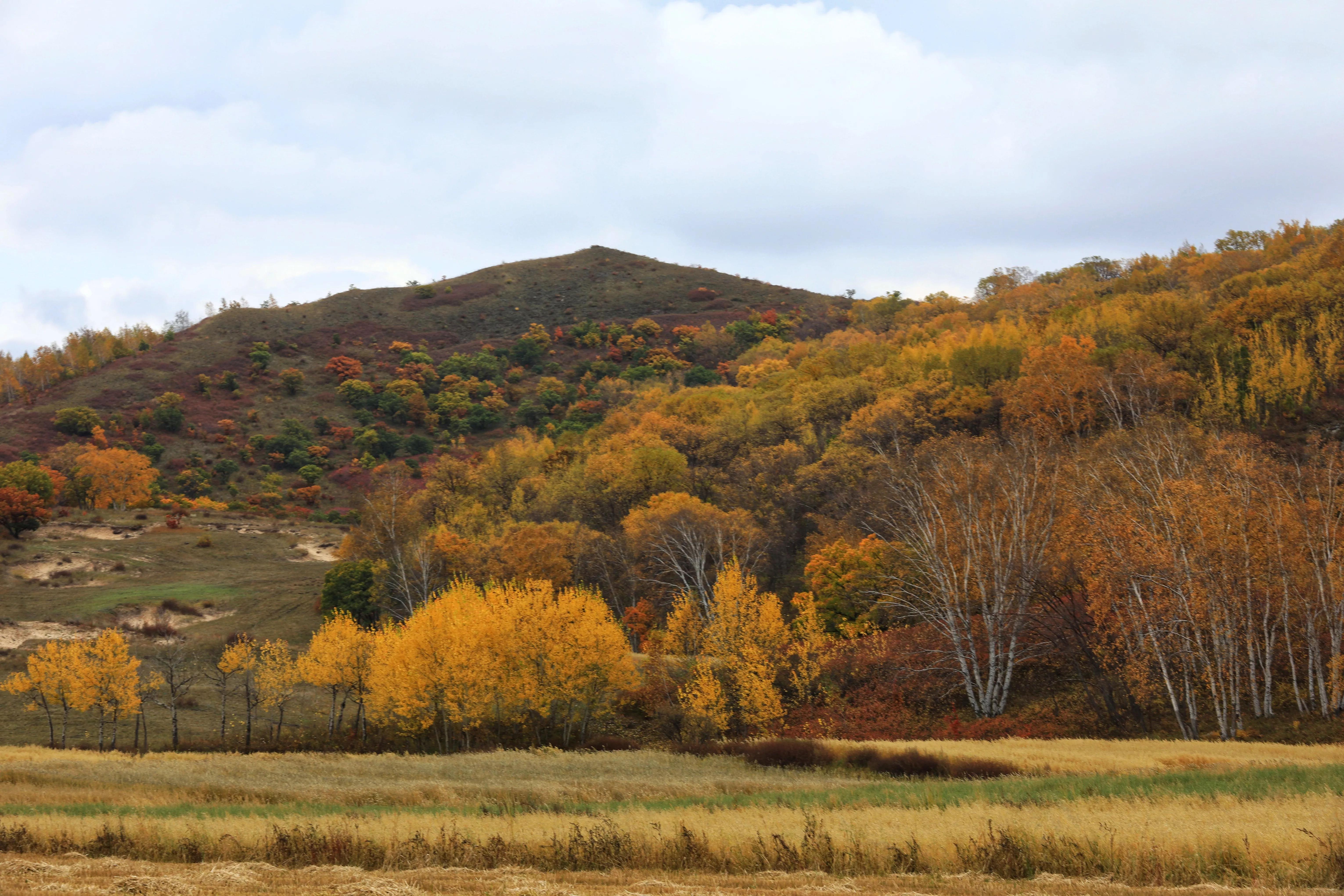 坝上秋色草原,坝上草原游记作文