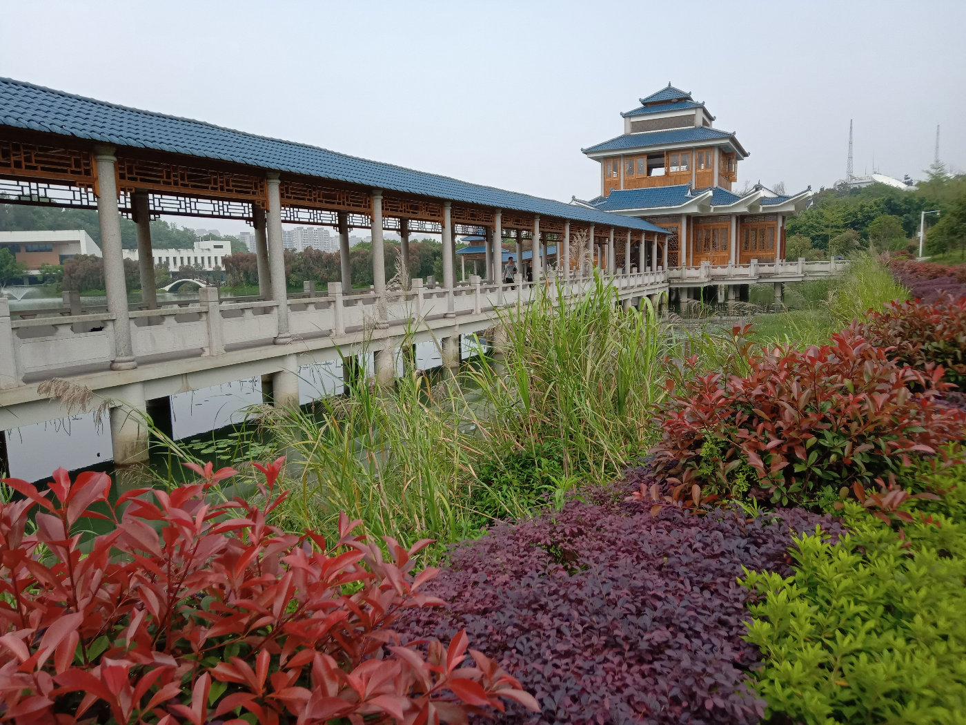 福州大学就像一座大公园，风景美到爆！最美的世界一流学科院校