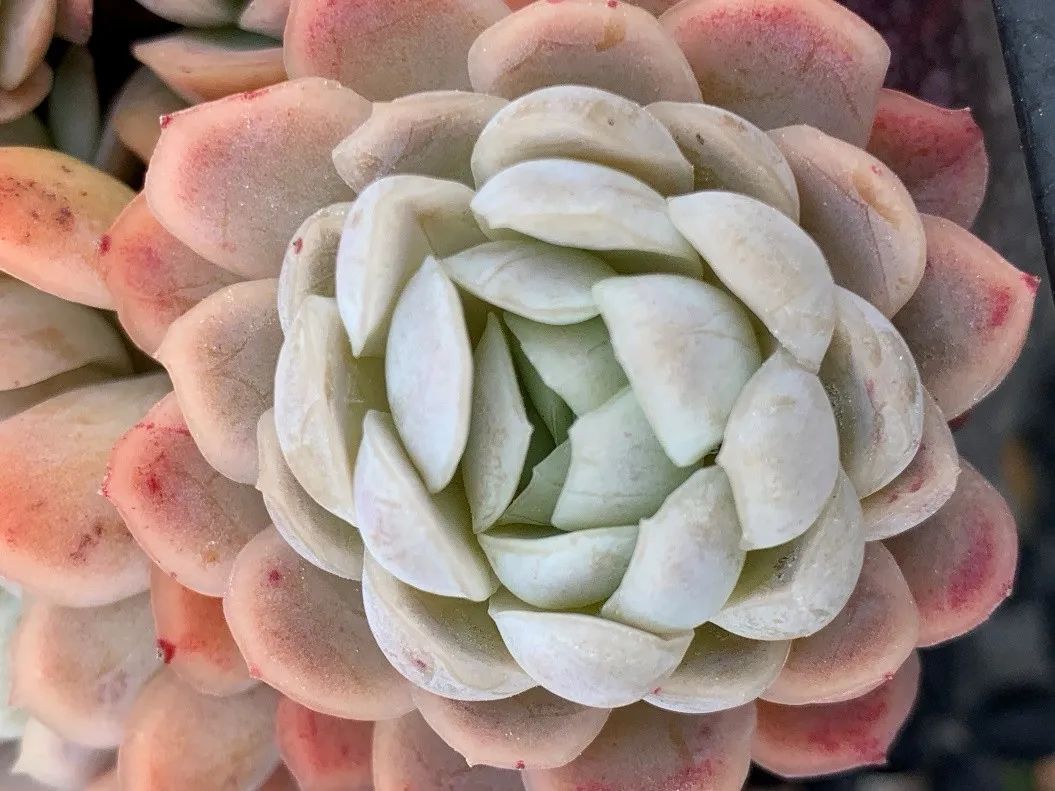 禁足的日子收获颇多,禁足