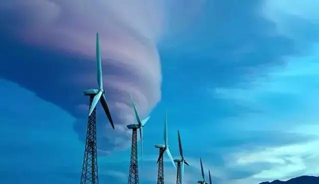 最适合让孩子看的5个纪录片,这几部高分纪录片适合孩子寒假看