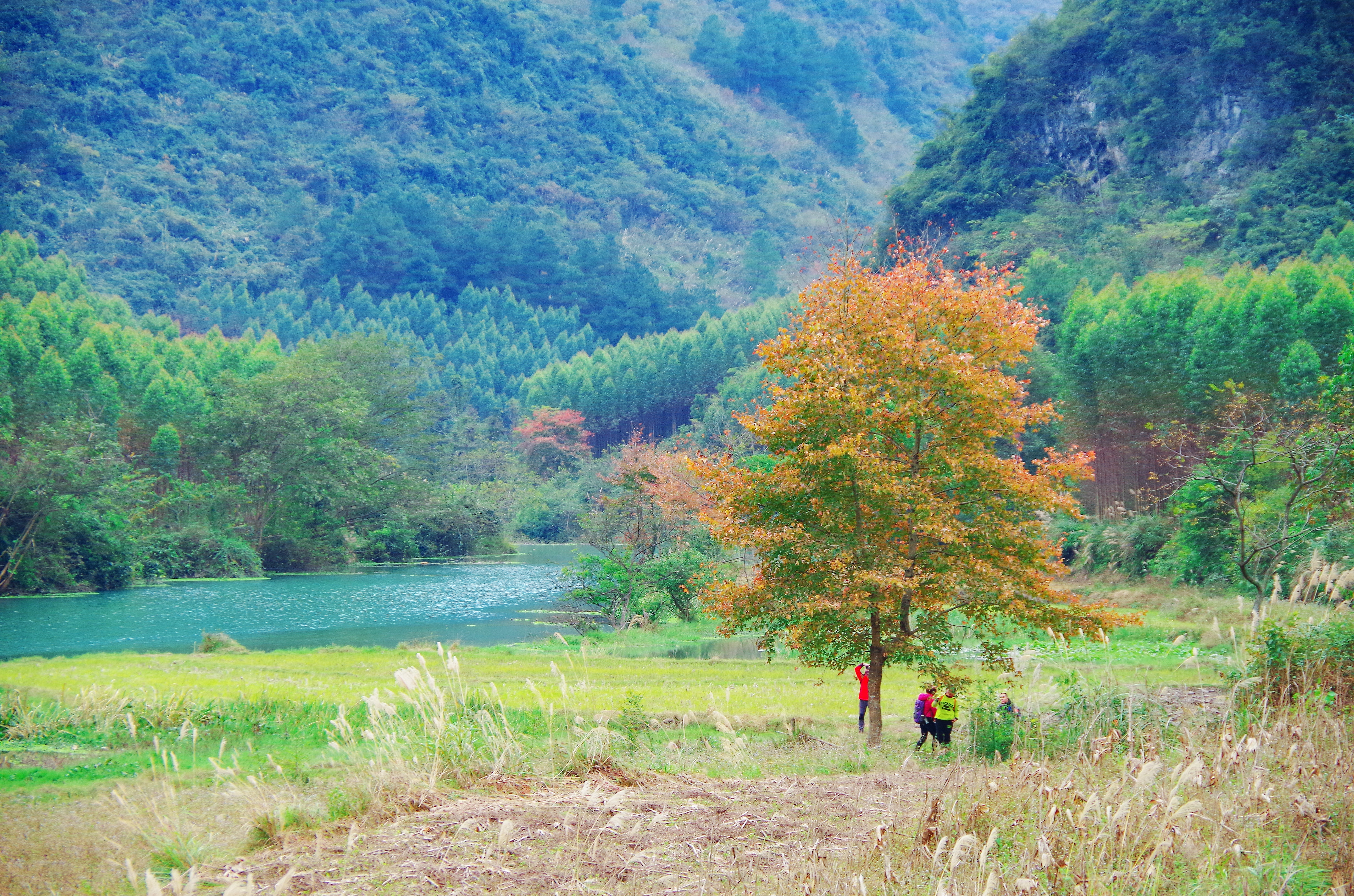 柳州鹿鸣山小七孔,柳州自驾小七孔旅游攻略