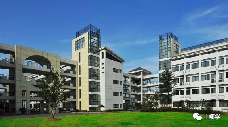 潜力股！上海16区黑马公办小学PK！谁会是下一个明珠、向阳？