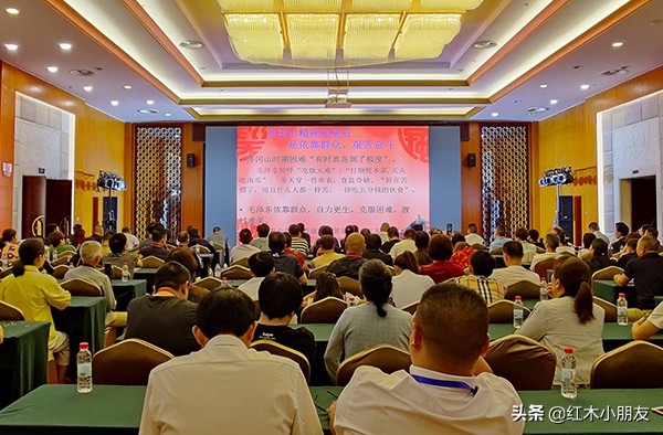 中信红木最新排名,中信红木官网