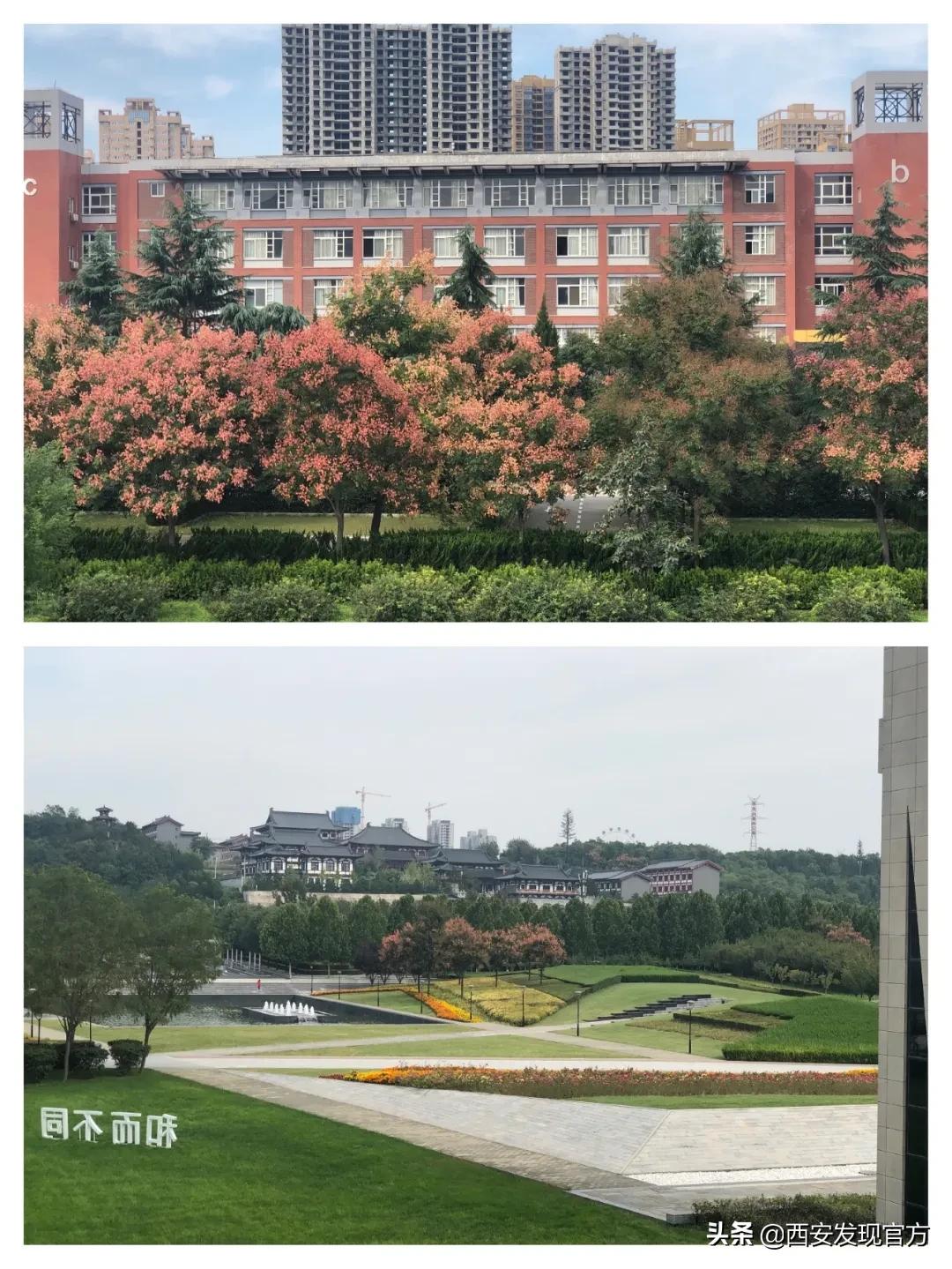 西安欧亚学院是贵族大学吗,西安欧亚学院属不属于全日制本科