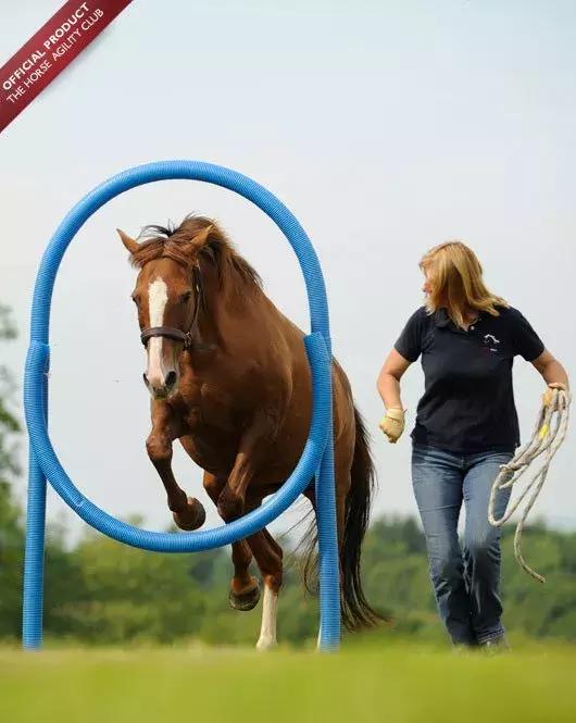 三分钟一字马教程,两小时驯马的全过程