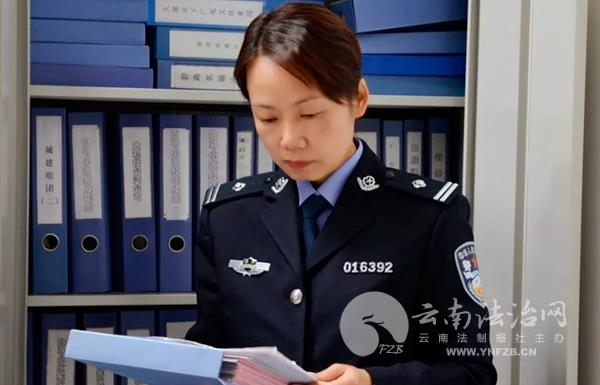 骞冲嚒宀椾綅涓婄殑缇庝附璀﹁姳,骞冲嚒宀椾綅缇庝附璀﹁姳