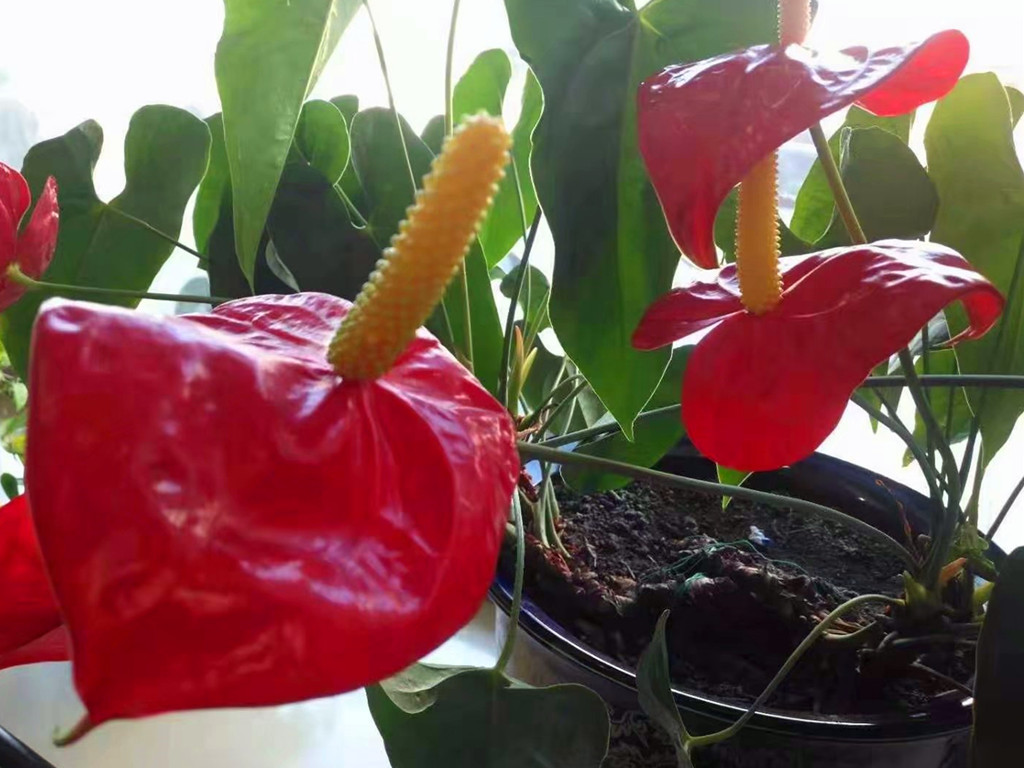 做好5件事快速改变人生,做好这5件事