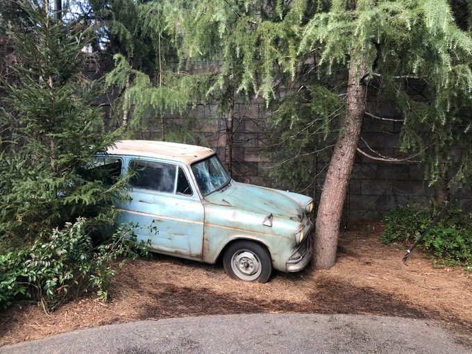 日本京都枫叶季旅游攻略,日本关西赏枫旅游攻略