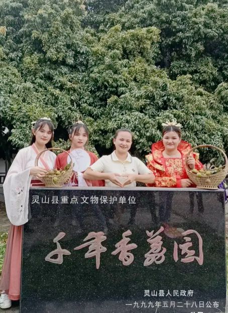 广西有哪些城市以前属于广东的,广西是荔枝之乡吗