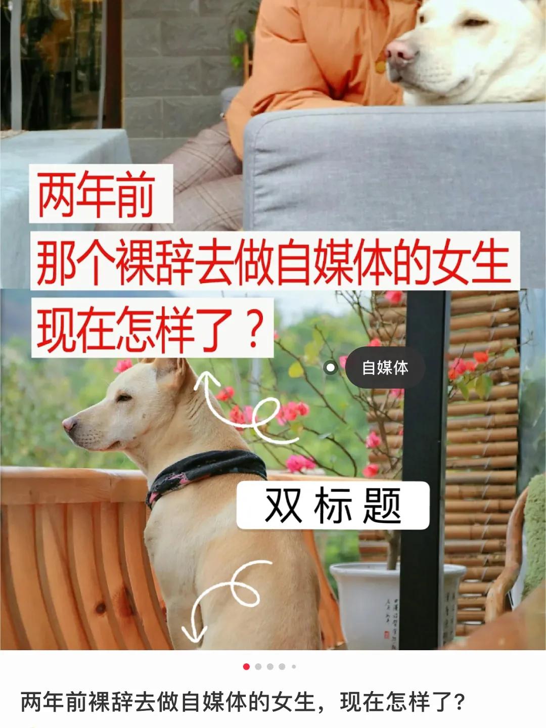 小红书如何快速提升粉丝量,小红书怎么能快速吸粉