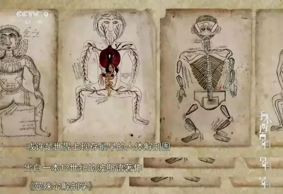 在学习强国看电视剧,能在学习强国看的电视剧