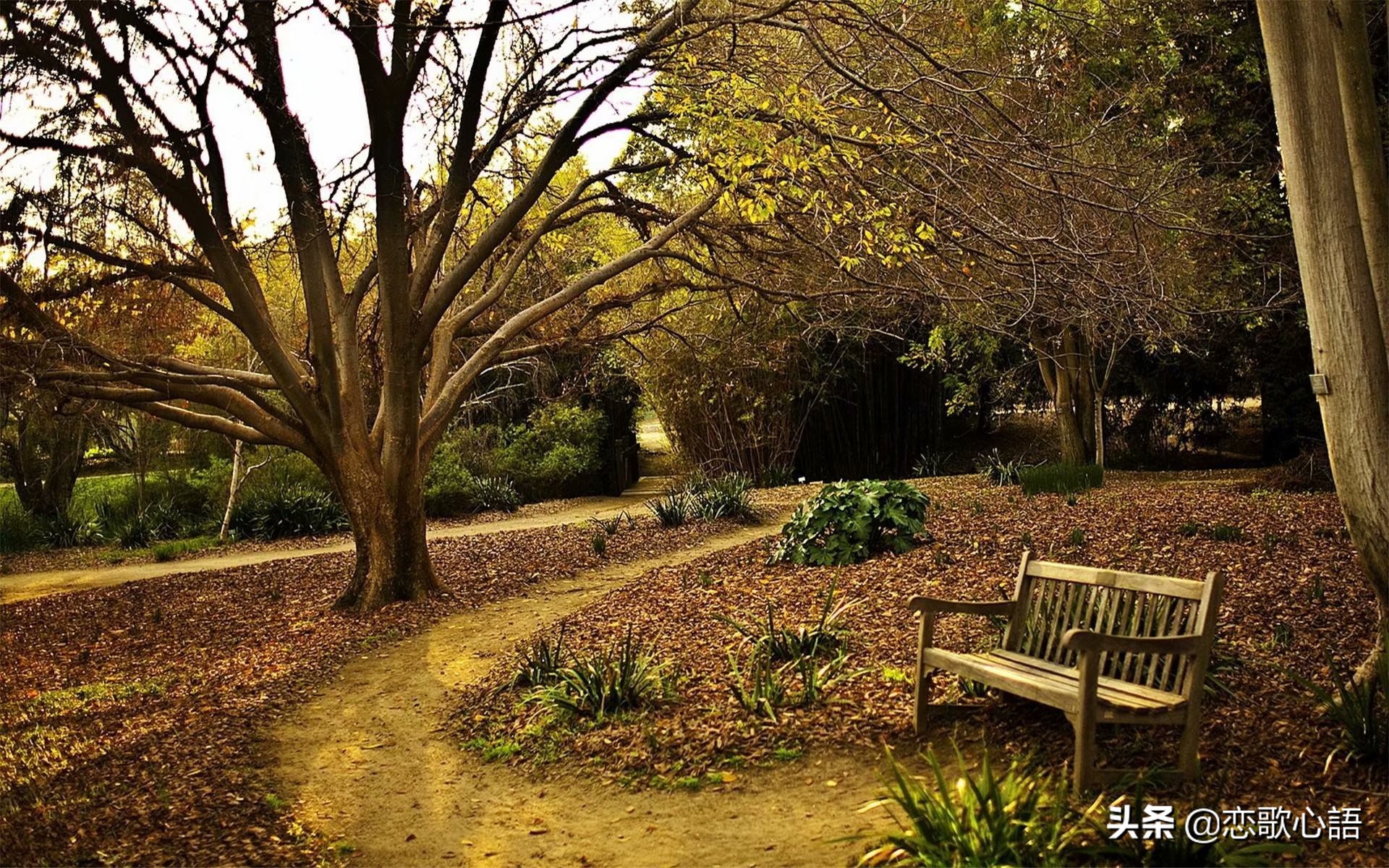 朗诵在路上完整版董卿,朗诵在路上主持稿串词