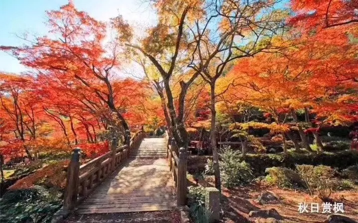 包租房5年收回成本,包租回购是什么意思