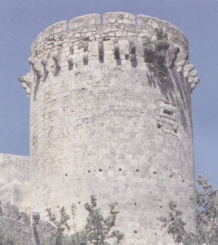 卡诺莎之辱教皇结局,卡诺莎之辱趣味讲解