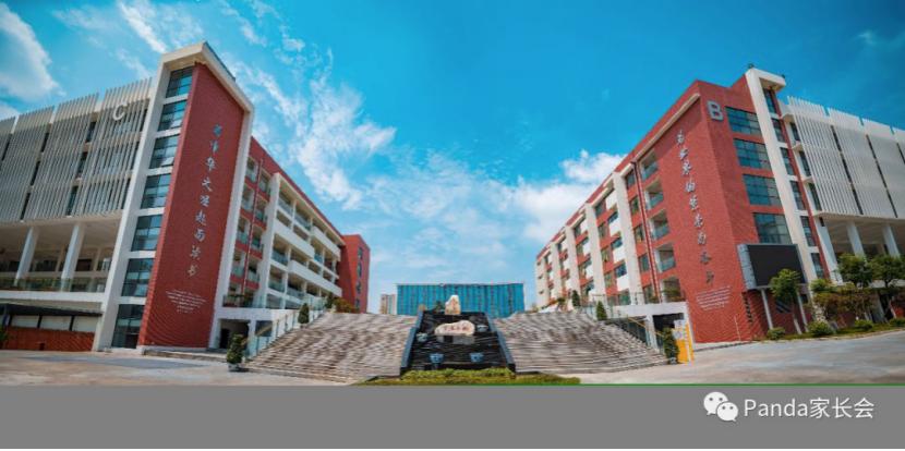 成都高新区两个网红学校,大家心目中的成都