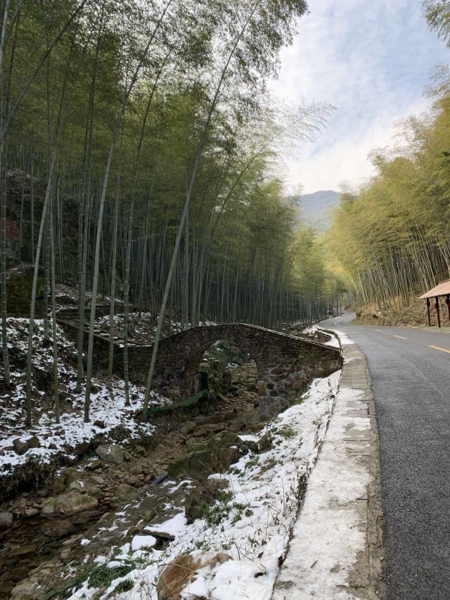 宜兴竹海自然风景图片,清新的竹林风景图片