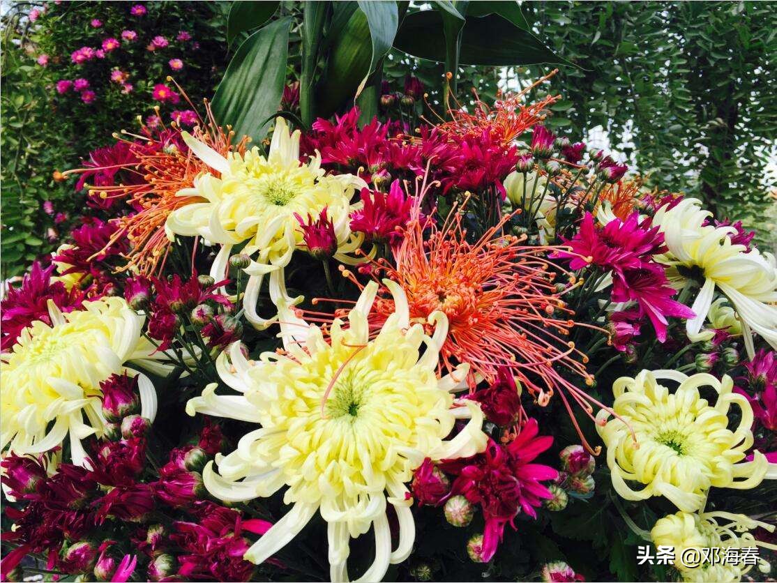 清明上河园旅游攻略开封,开封清明上河园旅游攻略最新