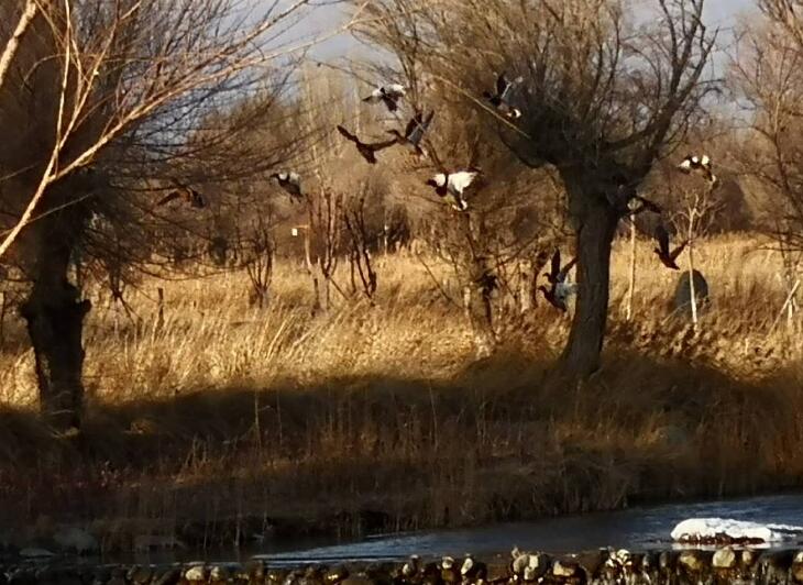 晨看*疆新**｜*疆新**已有35家医疗机构被取消定点资格，十二生肖*物文**乌市博物馆开展