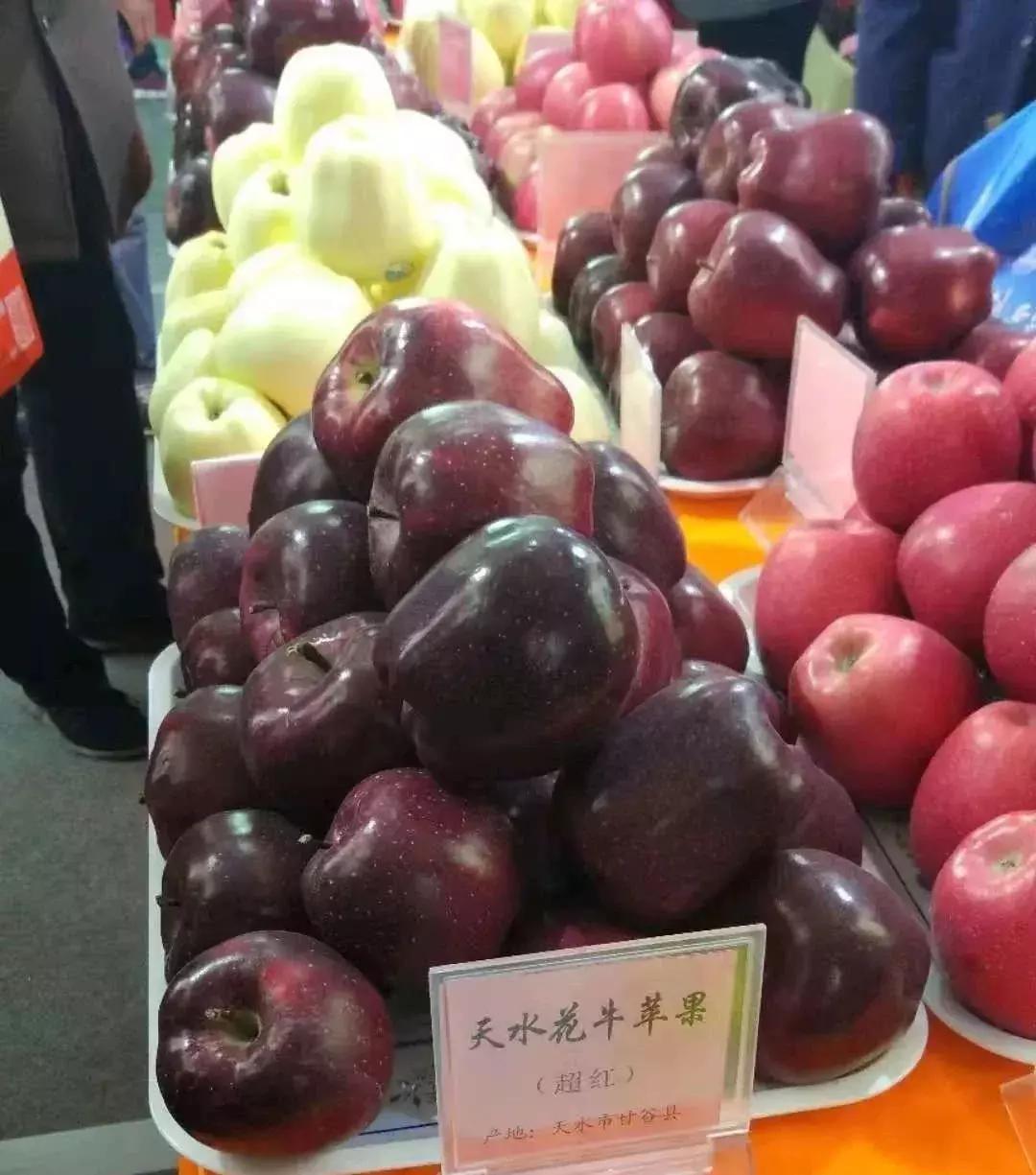 最新的苹果新品种有哪些,几种常见苹果的品种