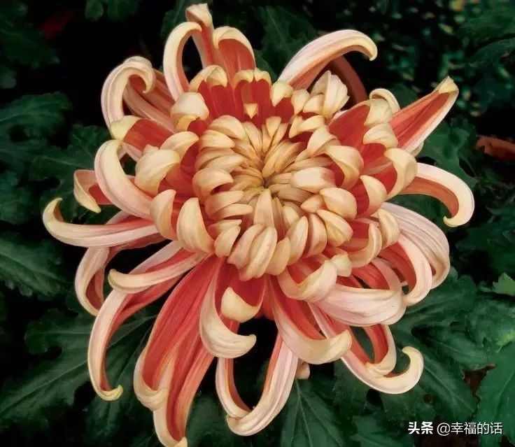 不生气歌儿歌,不生气的消气歌