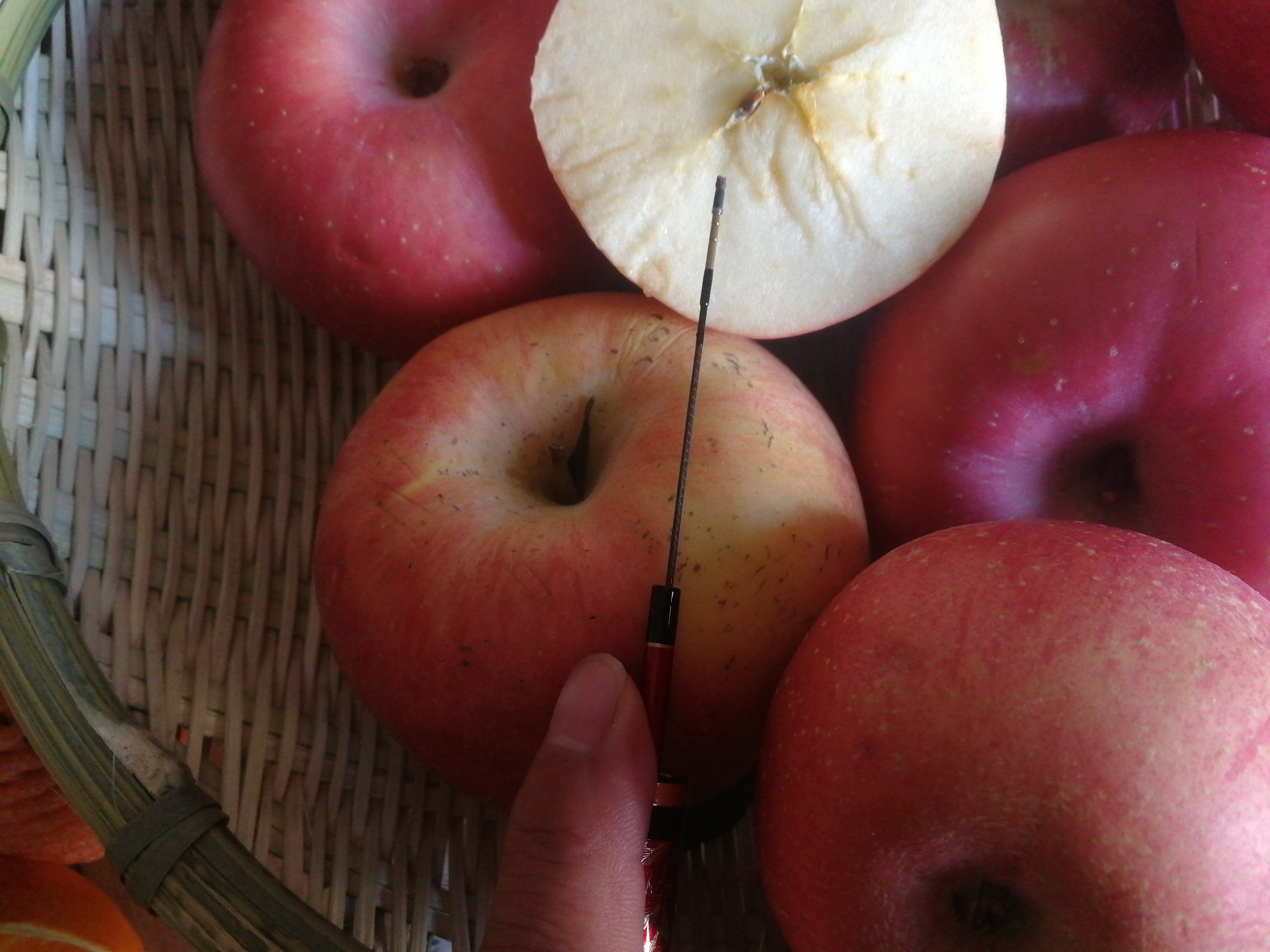 鱼竿有必要弄那么多分类吗,鱼竿设计真的有用吗