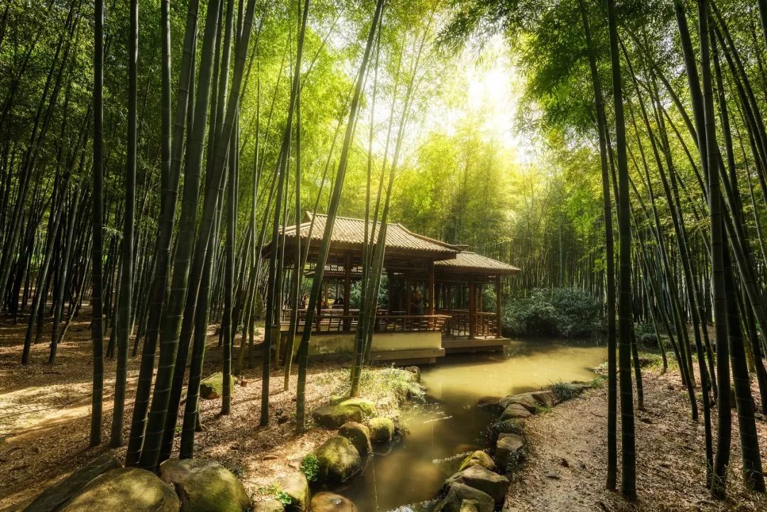 一入秋苏州成姑苏,秋色一入秋苏州就成了姑苏