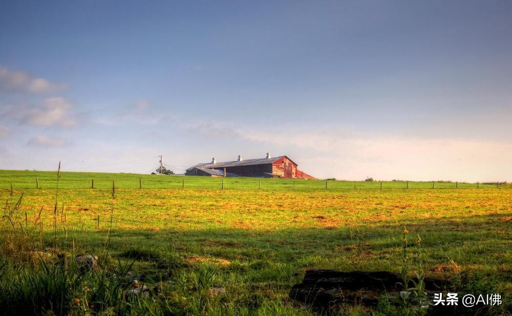 美国农田最多的州,美国哪个州的农场土地肥沃